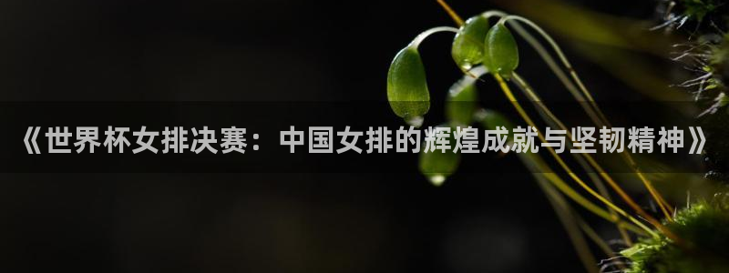 2026世界杯官网入口:《世界杯女排决赛:中国女排的辉煌成就与坚韧精神》