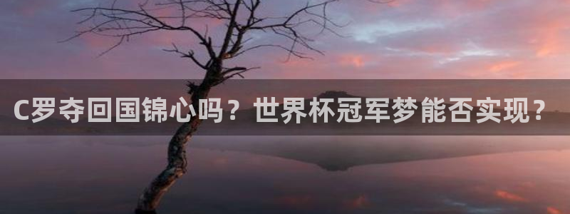 世界杯48支球队赛制:C罗夺回国锦心吗?世界杯冠军梦能否实现?