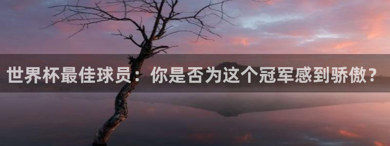 世界杯直播观看:世界杯最佳球员:你是否为这个冠军感到骄傲?