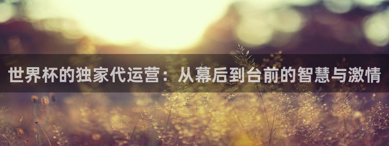 世界杯足球赛:世界杯的独家代运营:从幕后到台前的智慧与激情