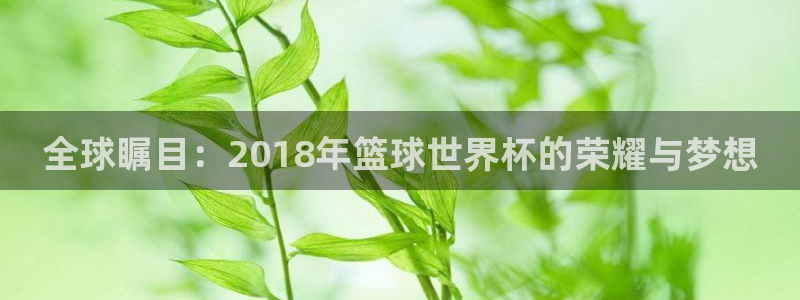世界杯足球比赛:全球瞩目:2018年篮球世界杯的荣耀与梦想